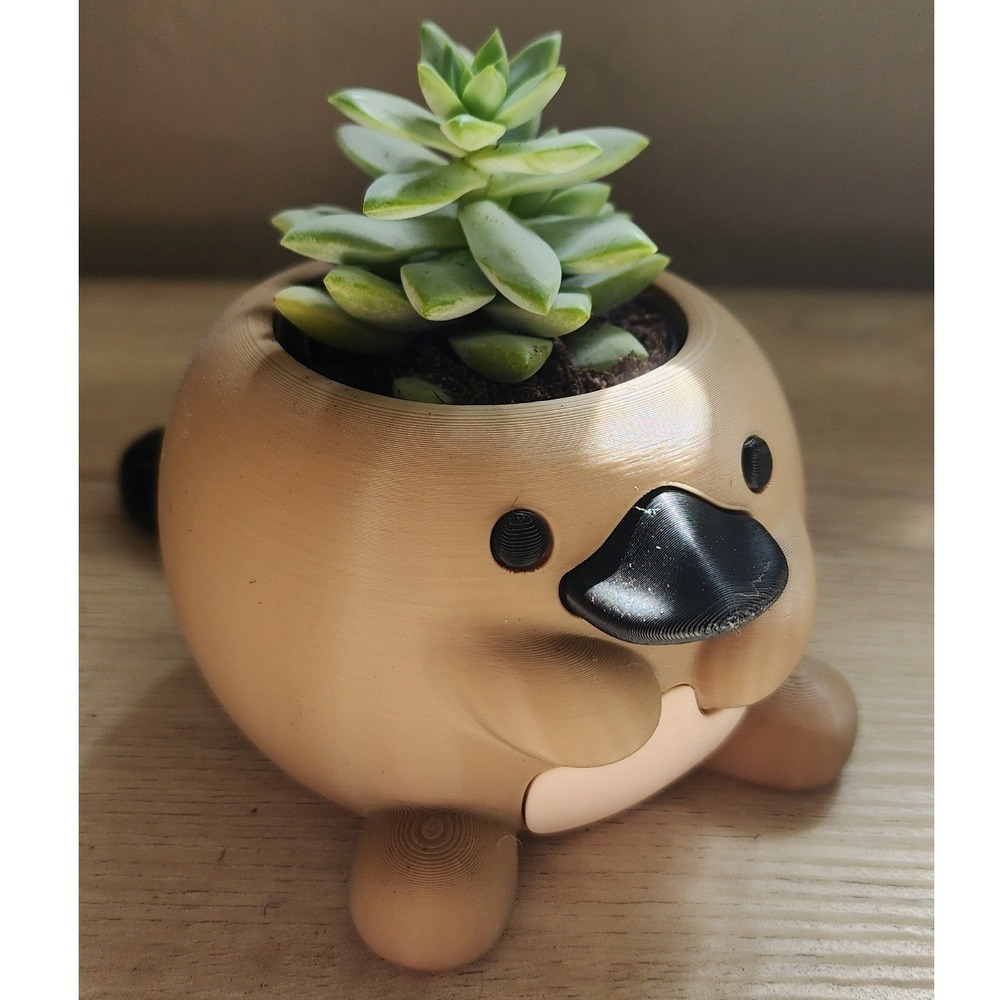 Live Succulent in 3D Printed Platypus Succulent Planter Pot with Drainage Insert